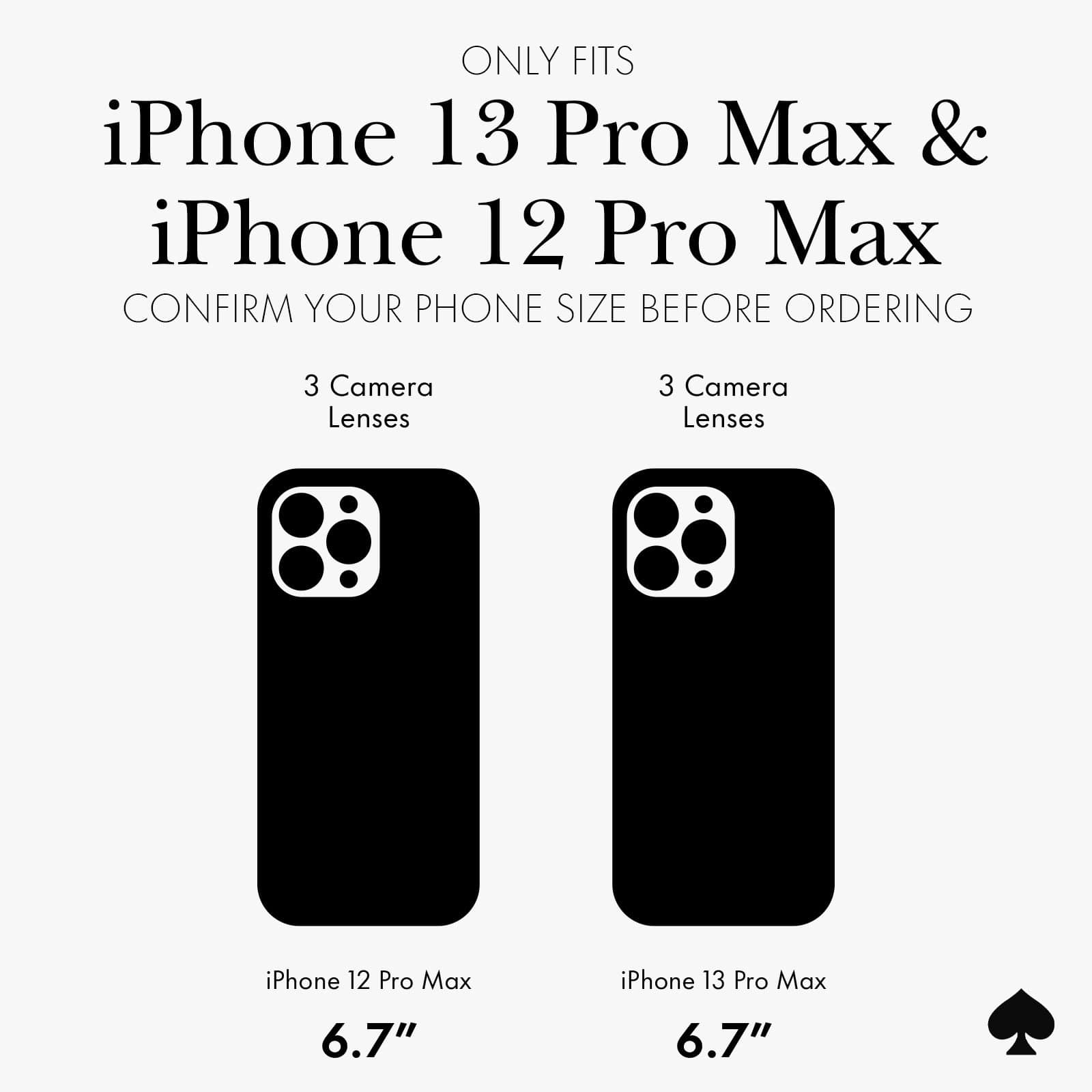 only fits iphone 13 pro max and iphone 12 pro max