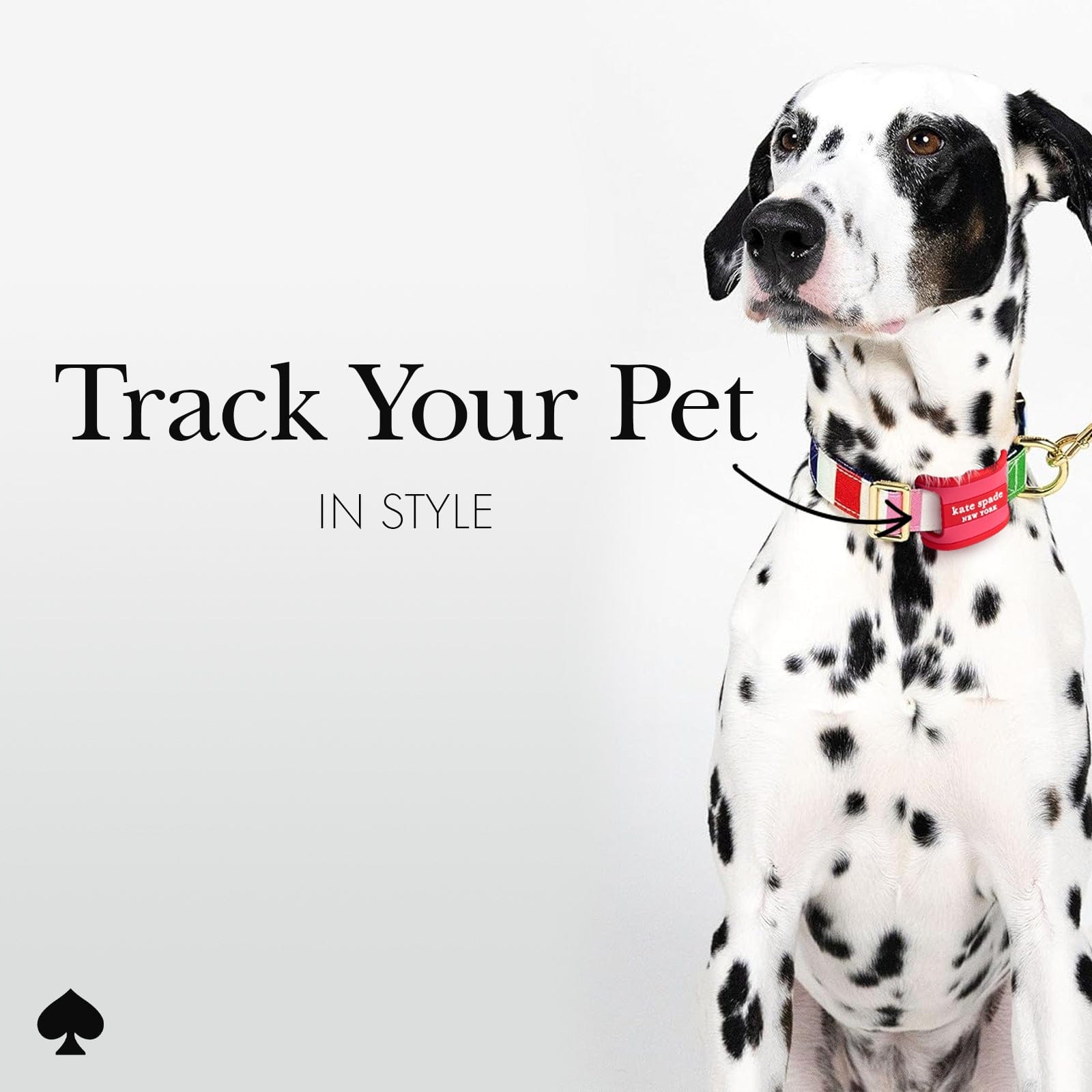 TRACK YOUR PET IN STYLE