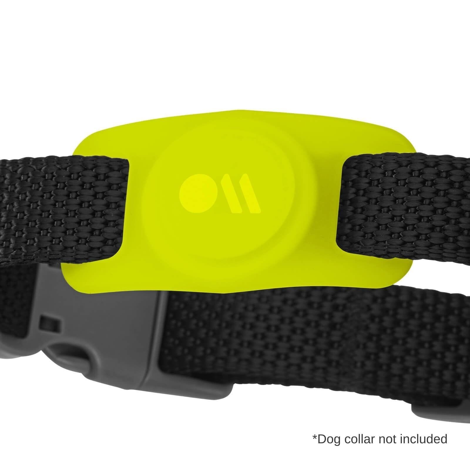 AirTag Dog Collar Case (Lime Green) *Dog collar not included color::Lime Green