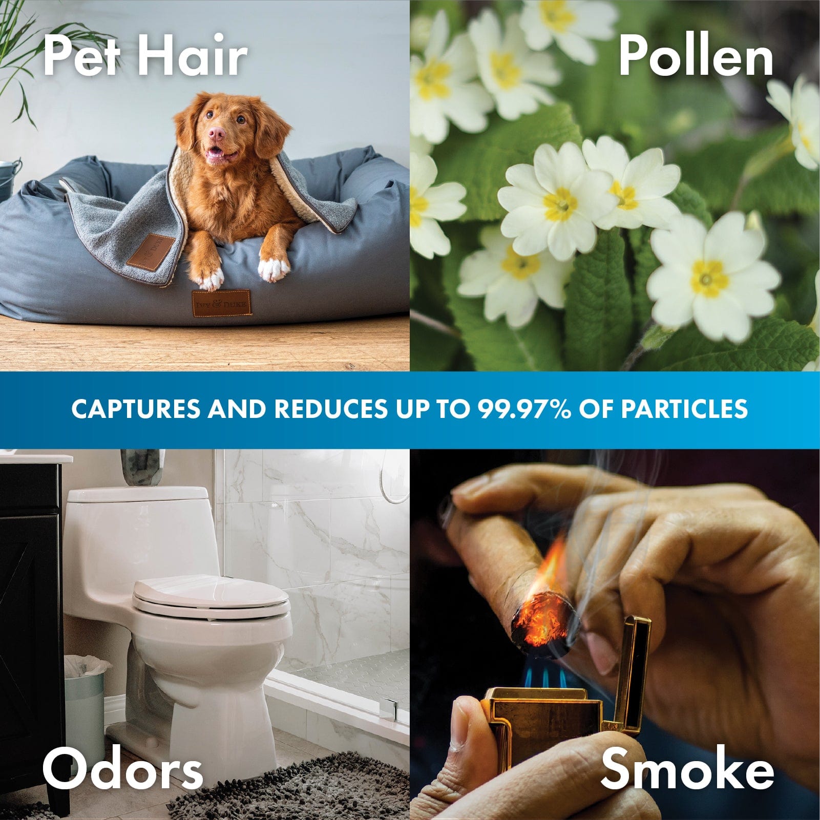 Captures and reduces up to 99.97% of particles. Pet Hair, Pollen, Odors, and Smoke